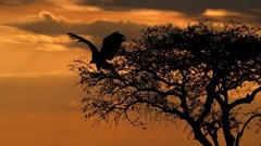 Getty Images/Stock photo