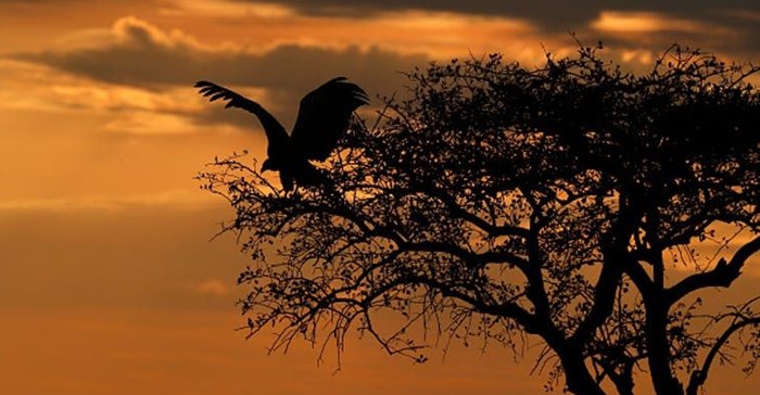 Getty Images/Stock photo