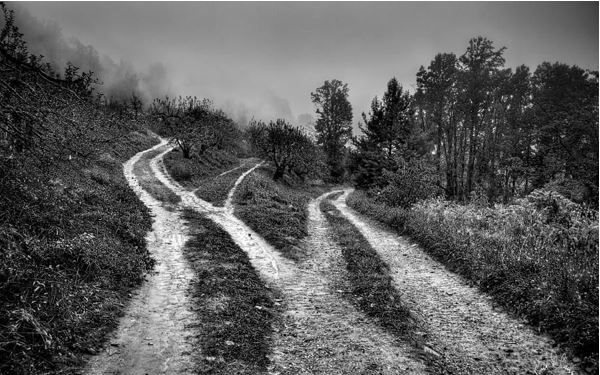 Image Supplied - William Cairns Photography