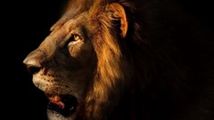 Local award winning documentary wins at WTM Africa 2020