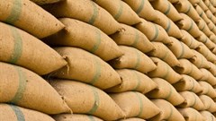 A positive outlook for SA's agricultural exports