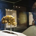 The Mapungubwe Golden Rhino is believed to have been made between 1220 and 1290.
Stefan Heunis/AFP/Getty Images)