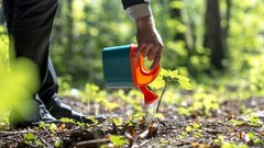 Another relief for the agri sector after a 50 basis points cut in the repo rate