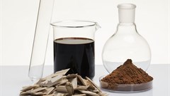 PAMSA bursary, research programme application extended