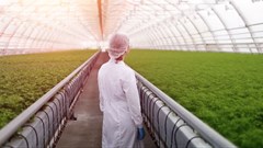 New animated film marks International Year of Plant Health 2020