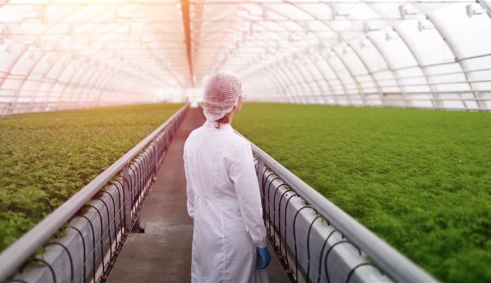 New animated film marks International Year of Plant Health 2020