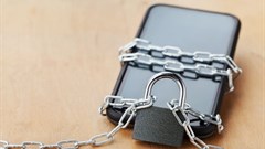 Julia Sudnitskaya/Shutterstock via The Conversation.