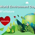 Sappi acts #ForNature and celebrates World Environment Day 2020