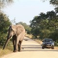 SANParks permits self-drive excursions for day visitors