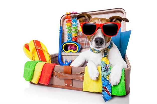 Hoarding of leave days creates headache for SA businesses