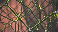 3 ways blockchain could get the world to act against the climate crisis