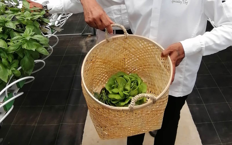 Put Mauritius top of your post-Covid-19 travel list: Touring the Aubergine Garden at LUX* Belle Mare