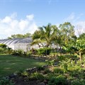 Put Mauritius top of your post-Covid-19 travel list: Touring the Aubergine Garden at LUX* Belle Mare