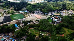 Korean bamboo cultivation system recognised as Globally Important Agricultural Heritage System