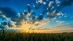 Positive weather conditions help lift agriculture GDP output