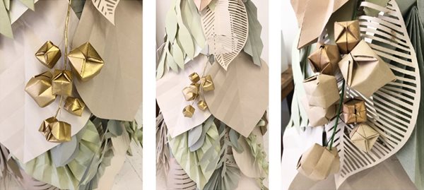 Seed pods containing 20,000 live seeds across all 10 windows