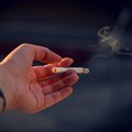 Webinar: Don't blame SA's booming illegal cigarette trade on lockdown alone