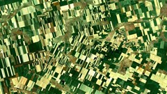 Smaller farmer's fields can reduce biodiversity loss and increase wild plants, birds, beetles and bats