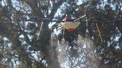 Karoo farmers take to the sky to curb the spread of invasive alien plants