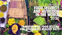 New UN report: Tens of millions more going hungry globally