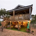 Treedom along the Garden Route ticks all the right travel trend boxes
