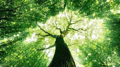 UN Young Champions of the Earth regional shortlist announced