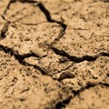 SA government revokes national disaster status of drought