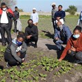 CoCT celebrates 33 urban farming graduates