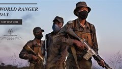 2020 Rhino Conservation Awards winners revealed