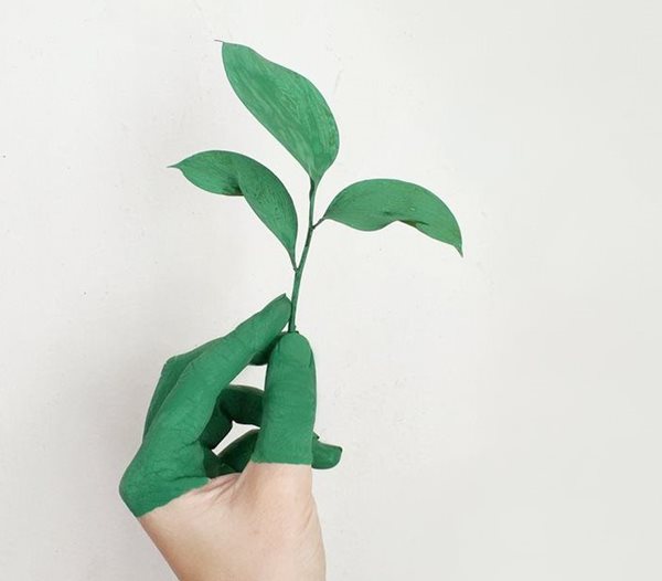 Photo by Alena Koval© from