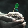 Finding the key to agricultural growth in SA