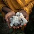 Diesel becomes member of the Better Cotton Initiative