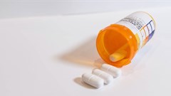 Michael Moloney/Shutterstock