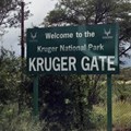 Kruger opens some of its camps