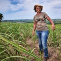 Tongaat Hulett celebrates women in sugar cane farming
