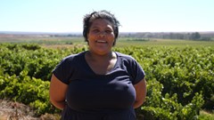 Inclusive, multi-pronged approach needed for successful land reform programme