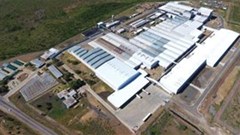 Lower human activity limiting tyre sales