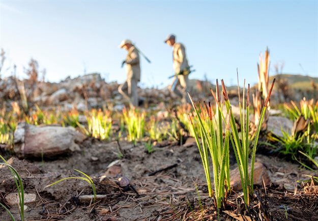 Women making waves in water conservation with Rain