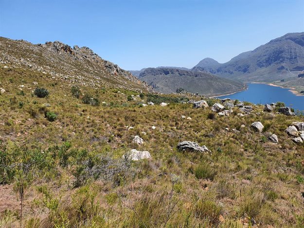 Women making waves in water conservation with Rain