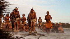 Encounters 2020: In praise of docci 'SanDance!'