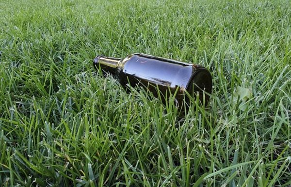 Image credit: Fernando Latorre from Pixabay