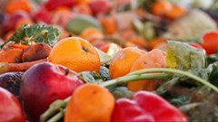 How optimal water use can support food security, reduce waste in Africa