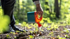 The imperative to create shared value for Africa through investment in agriculture