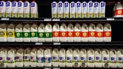 Covid-19 has hit SMEs in SA's food sector hard. What can be done to help them