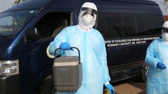 Nigerian scientists are working to better understand coronavirus. African Center of Excellence for Genomics of Infectious Disease