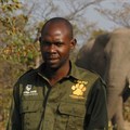African organisations join TUSK in fundraising effort to protect wildlife
