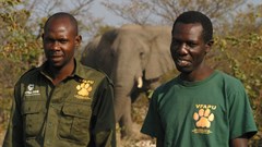 African organisations join TUSK in fundraising effort to protect wildlife