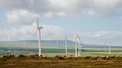 The West Coast One wind farm near Vredenburg has operated since 2015. Environment minister Barbara Creecy says the wake effect on this facility of a proposed new neighbouring wind farm must be investigated before it can also be approved. Photo: John Yeld