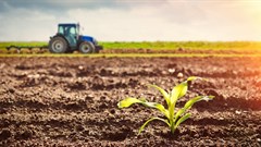 SA agriculture posts strong growth in Q2 of 2020