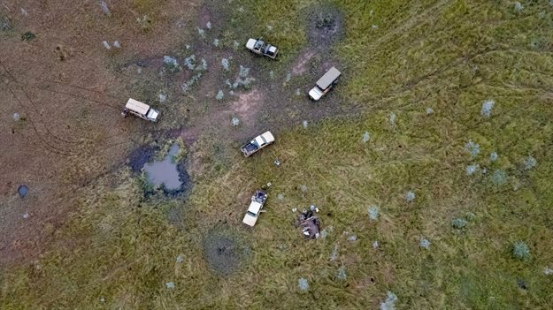 The Grumeti Fund Research and Monitoring team works to collar an elephant in the Grumeti Concession. Collaring is an effective way to monitor an elephants movement to ensure that they do not enter local villages, which helps keep the elephant safe. It is also an important part of research and monitoring, which helps the Grumeti Fund keep track of population growth and distribution of elephants in the ecosystem.
